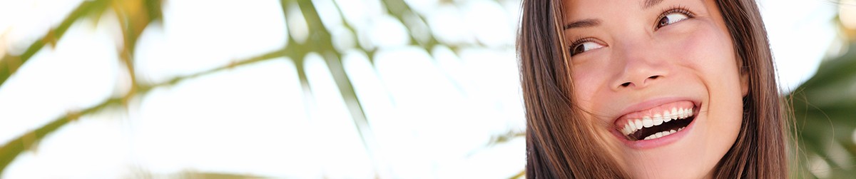shutterstock newsletter banner